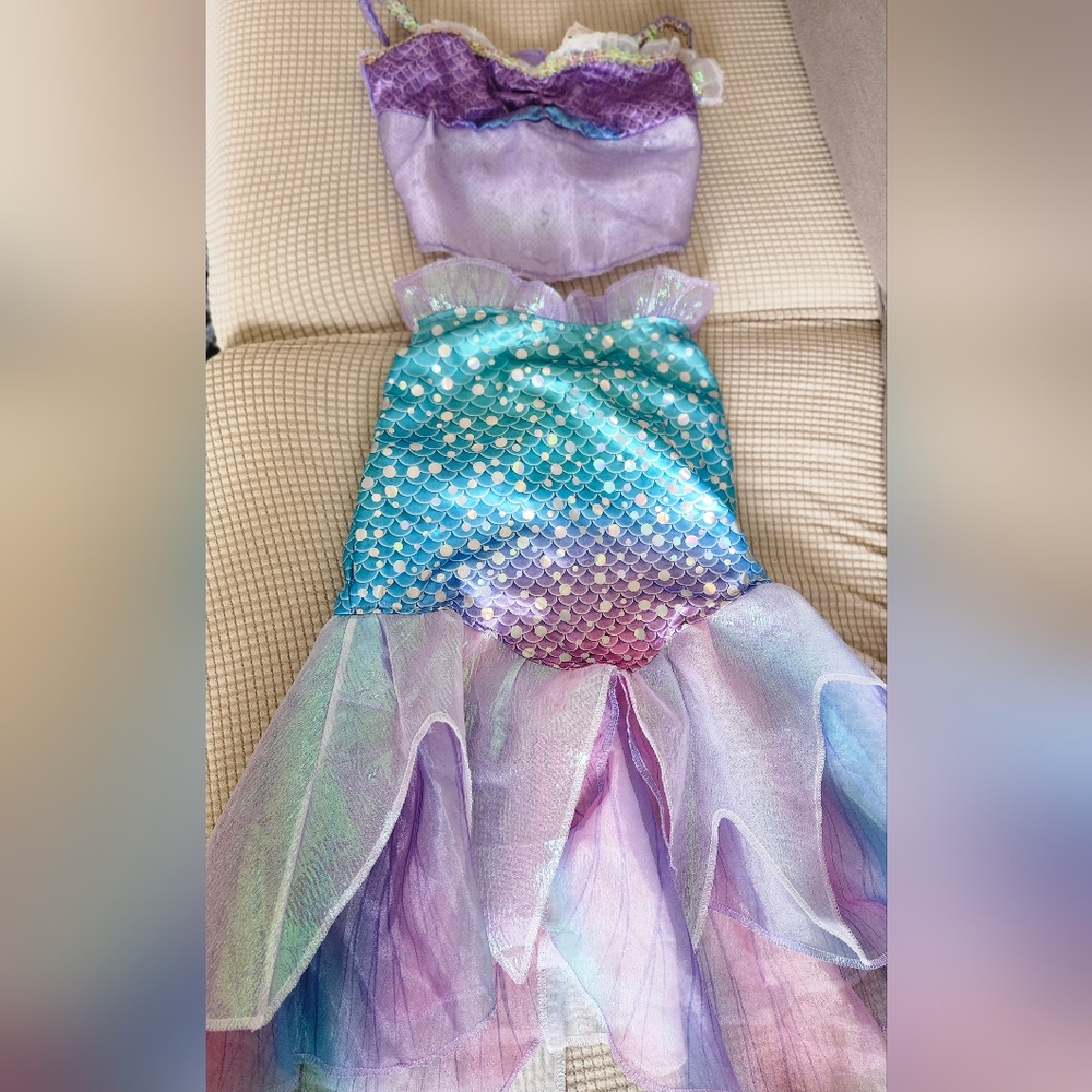 Mermaid Princess Kids Costume - Purple and Blue